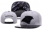 NFL Carolina Panthers hats-76