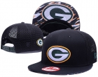 NFL Green Bay Packers snapback-88