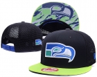 NFL Seattle Seahawks Snapback-195