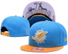 NFL Miami Dolphins snapback-106