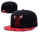 NBA Chicago Bulls Snapback-845