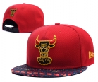 NBA Chicago Bulls Snapback-844