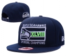 NFL Seattle Seahawks Snapback-202
