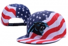 NFL Carolina Panthers hats-82