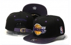 NBA Larkers Snapback-227