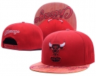 NBA Chicago Bulls Snapback-880