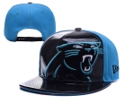 NFL Carolina Panthers hats-91