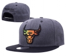 NBA Chicago Bulls Snapback-894