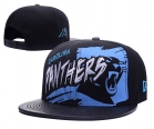 NFL Carolina Panthers hats-93