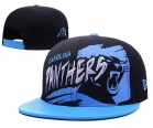 NFL Carolina Panthers hats-94