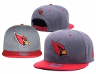 NFL Arizona Cardinals hat-48
