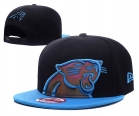 NFL Carolina Panthers hats-101