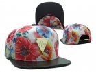 Hater Snapback-191