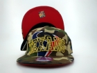 NFL Houston Texans hats-79