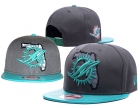 NFL Miami Dolphins snapback-89