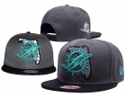 NFL Miami Dolphins snapback-90