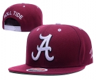 MLB Atlanta braves snapback-73