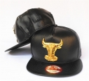 NBA Chicago Bulls Snapback-906