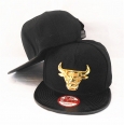 NBA Chicago Bulls Snapback-910