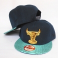 NBA Chicago Bulls Snapback-913