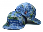 Supreme snapback-119