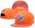 NFL Miami Dolphins snapback-95