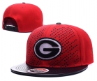 NFL Green Bay Packers snapback-85