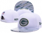 NFL Green Bay Packers snapback-86