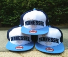 NFL Tennessee Titans snapback-33