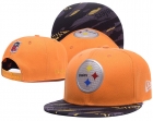 NFL Pittsburgh Steelers hats-132