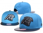 NFL Carolina Panthers hats-111