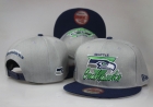 NFL Seattle Seahawks Snapback-241