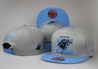 NFL Carolina Panthers hats-112