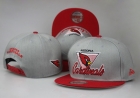 NFL Arizona Cardinals hat-52