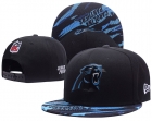 NFL Carolina Panthers hats-116