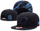 NFL Carolina Panthers hats-113