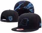 NFL Carolina Panthers hats-113