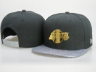 NBA Larkers Snapback-246