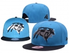 NFL Carolina Panthers hats-114