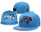 NFL Carolina Panthers hats-115