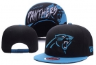 NFL Carolina Panthers hats-116