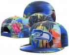 NFL Seattle Seahawks Snapback-248