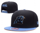 NFL Carolina Panthers hats-724