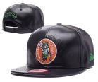 NBA Boston Celtics Snapback-626