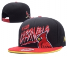 NFL Arizona Cardinals hat-654