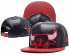 NBA Chicago Bulls Snapback-969