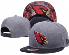 NFL Arizona Cardinals hat-655
