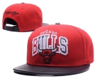 NBA Bulls snapback-7976