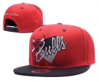 NBA Bulls snapback-7979