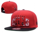 NBA Bulls snapback-7980